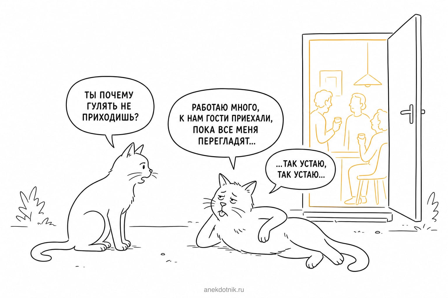 Усталый кот